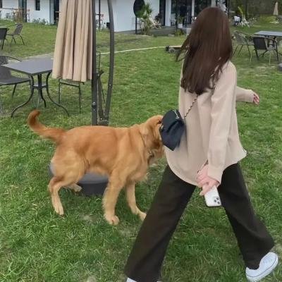 白富美的贴身高手