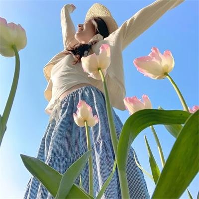 盗贼泰瑞莎